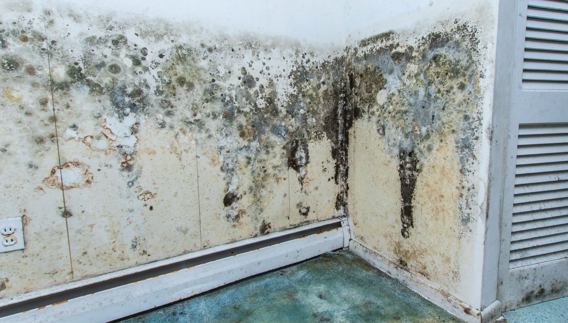 Mold Damager Odor Control Services in Lansing